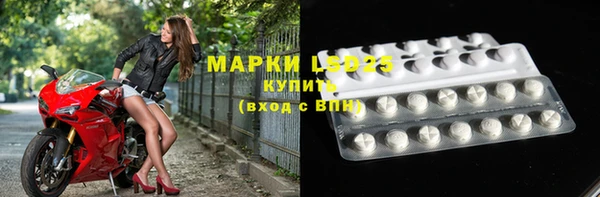 стаф Абинск