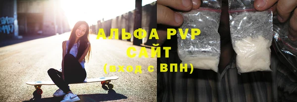 индика Ижевск