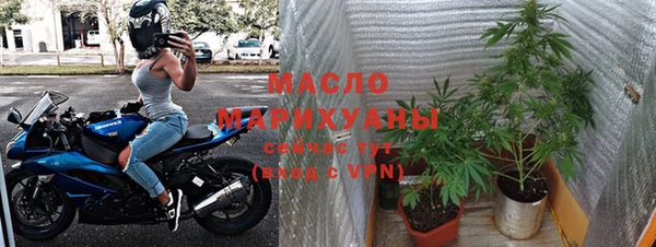 стаф Абинск